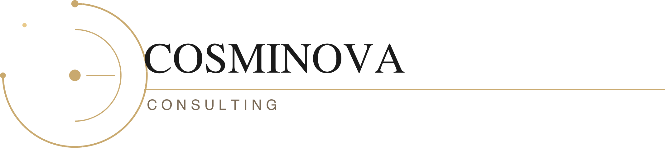 Cosminova Consulting